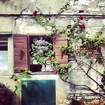Segalla 4* Rovinj