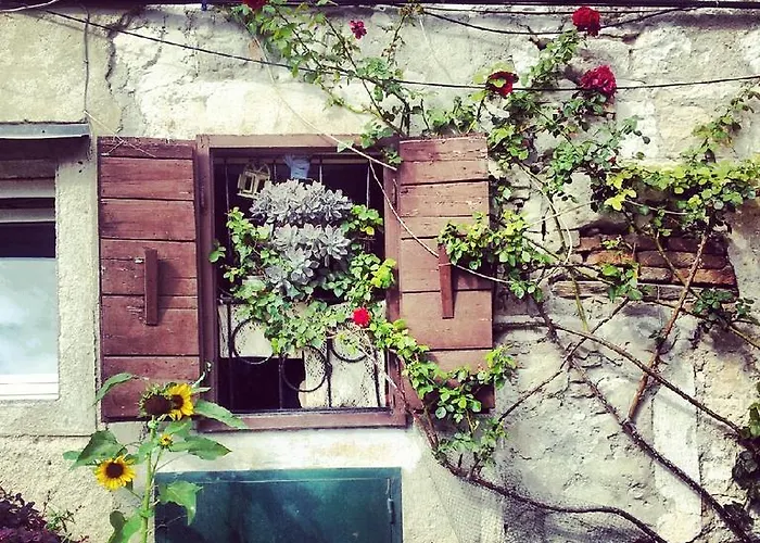 Segalla 4* Ρόβινι